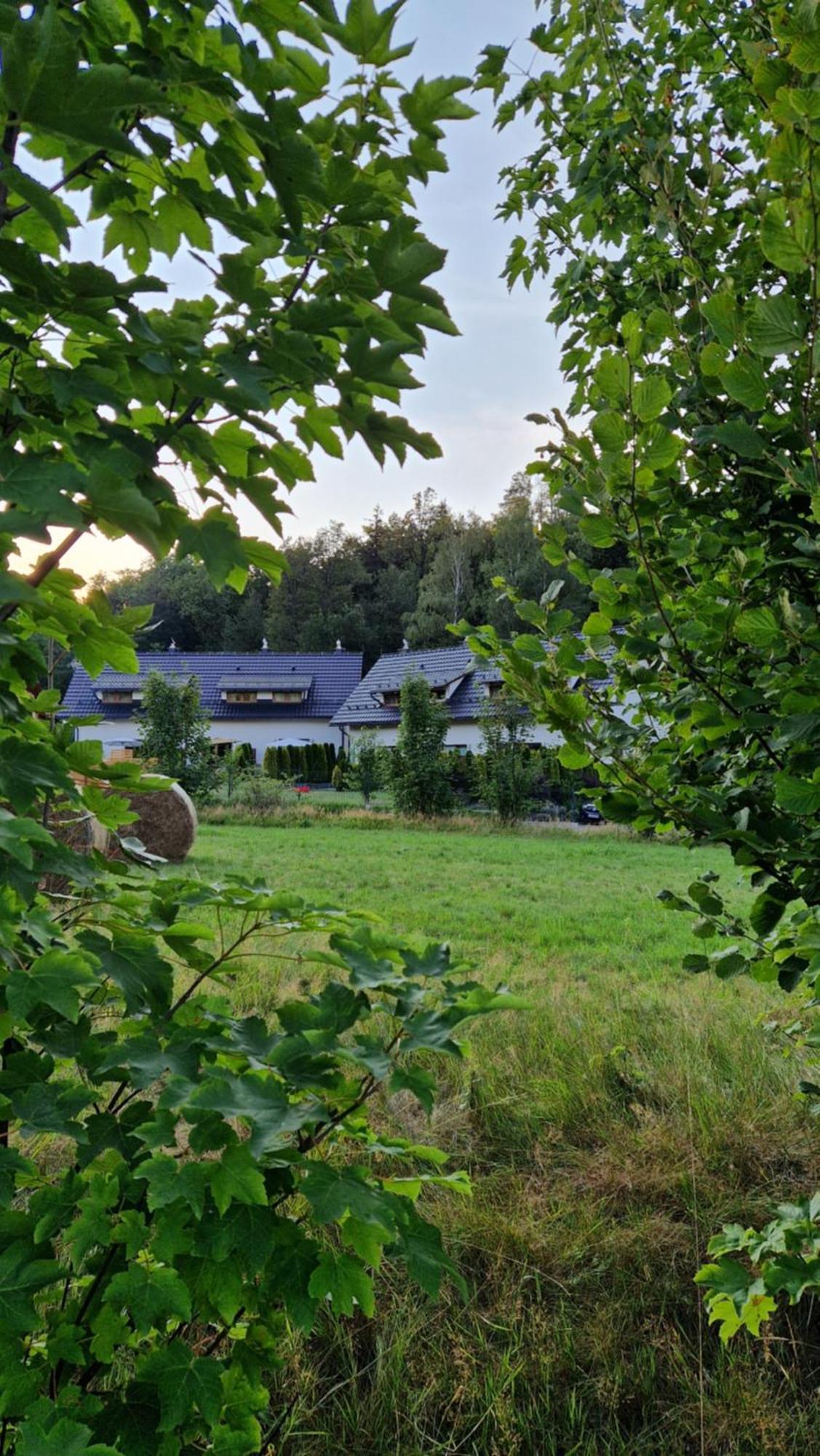 Widokowo - Domki Z Widokiem Na Sniezke Z Jacuzzi I Sauna Karpacz Bagian luar foto